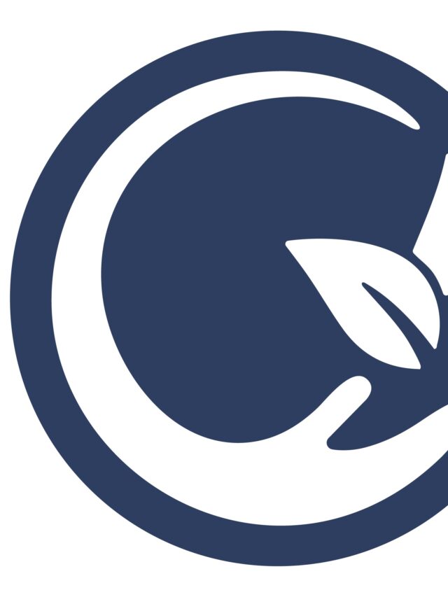 Kingston Wellness – Mental Health Services in Michigan