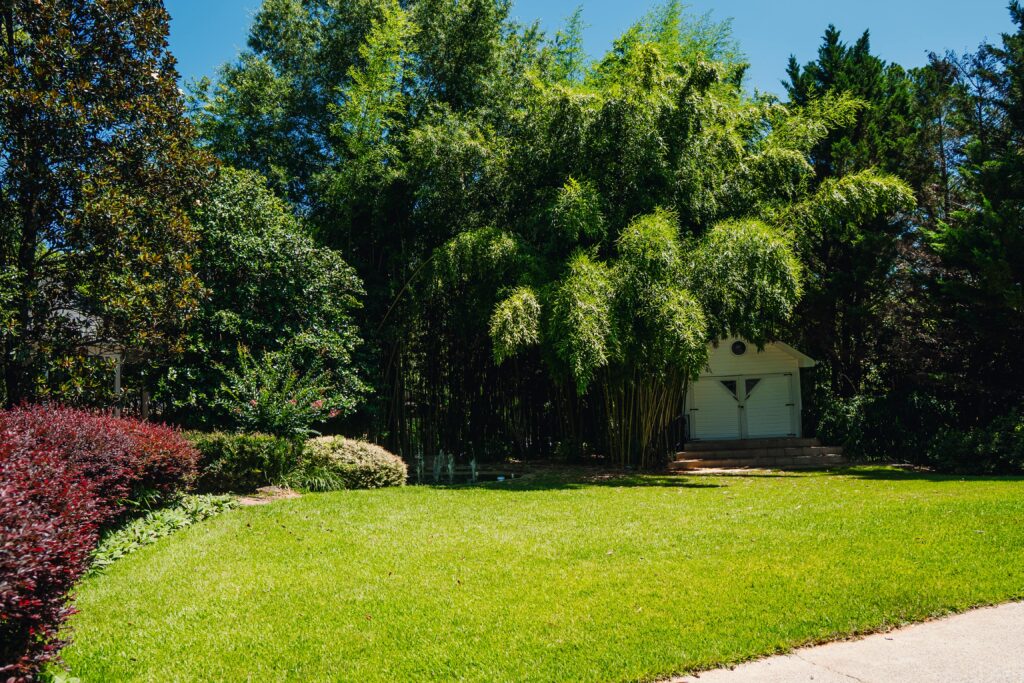 Nature and Neurobiology: Why 11 Acres of Quiet Helps the Nervous System Heal