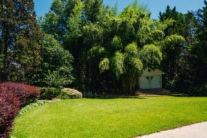 Nature and Neurobiology: Why 11 Acres of Quiet Helps the Nervous System Heal